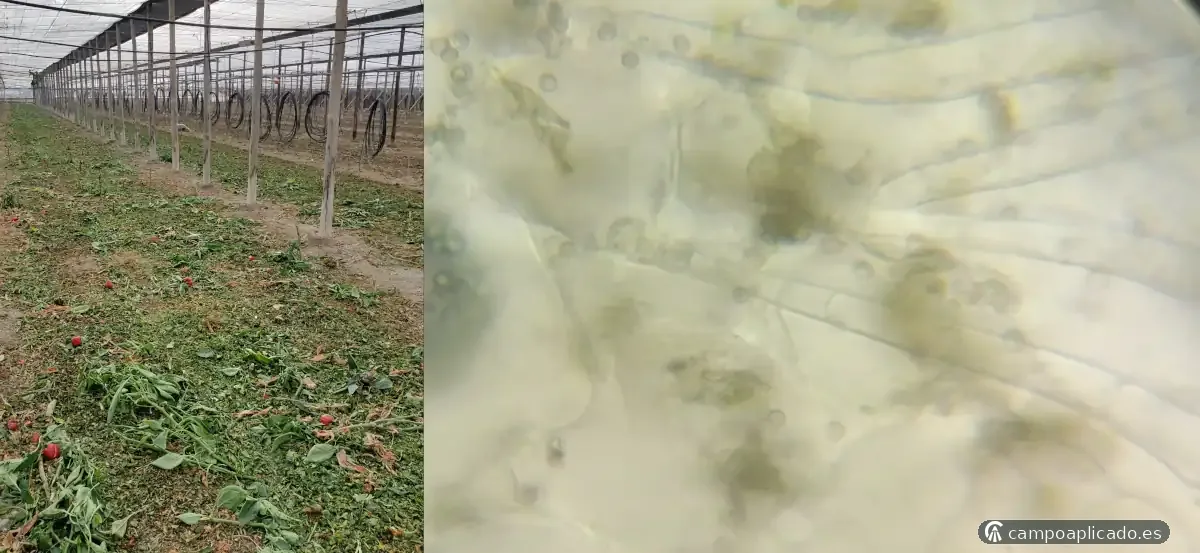 Incorporation, composting and viability of recovered residues