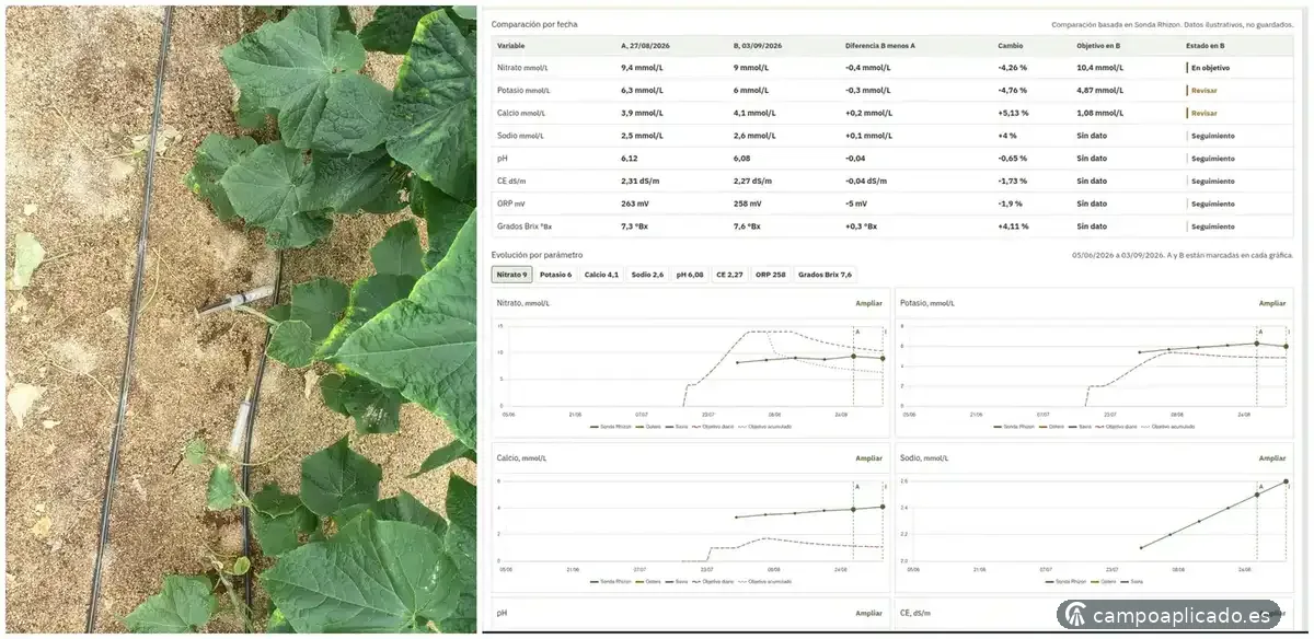 Crop productivity diagnosis and corrections