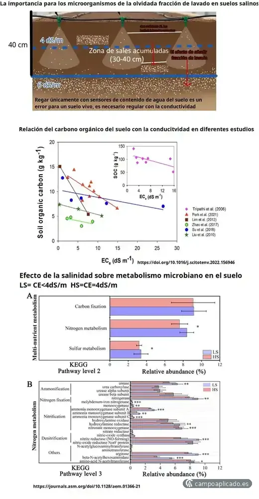 Effects of common practices beyond the immediate