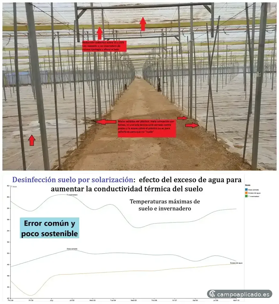 Biosolarización realizada correctamente con medidas