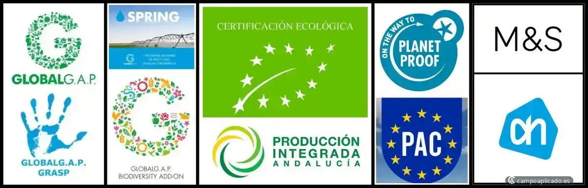 Certificaciones tanto oficiales como de entidades y de clientes