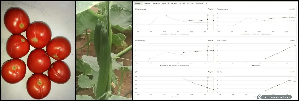 Detección y corrección de desajustes nutricionales que cuestan producción y rentabilidad