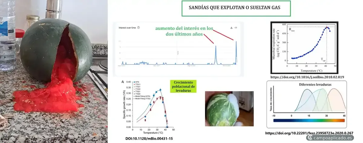 Manejo adecuado para evitar problemas de calidad