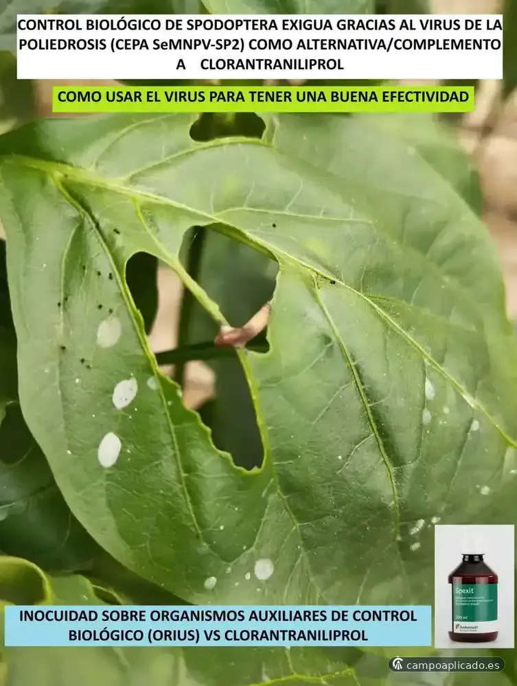 Productos respetuosos con el medio ambiente y eficaces