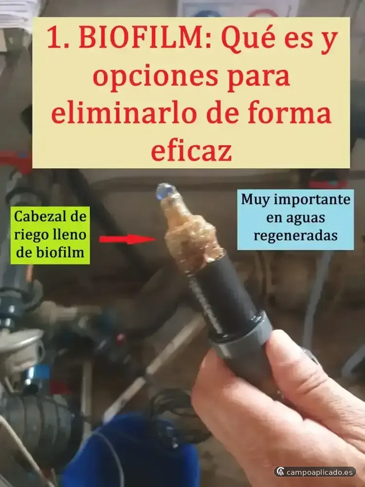 Didáctica y divulgación