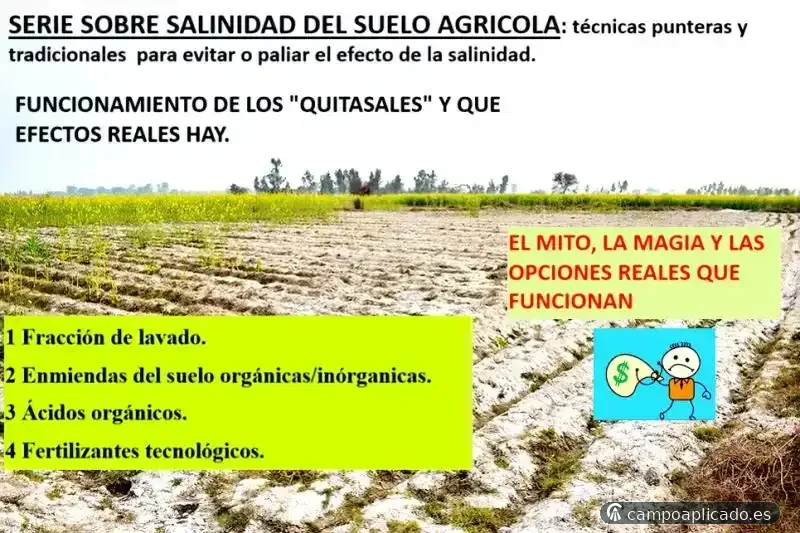 Formación en técnicas de manejo de suelos salinos