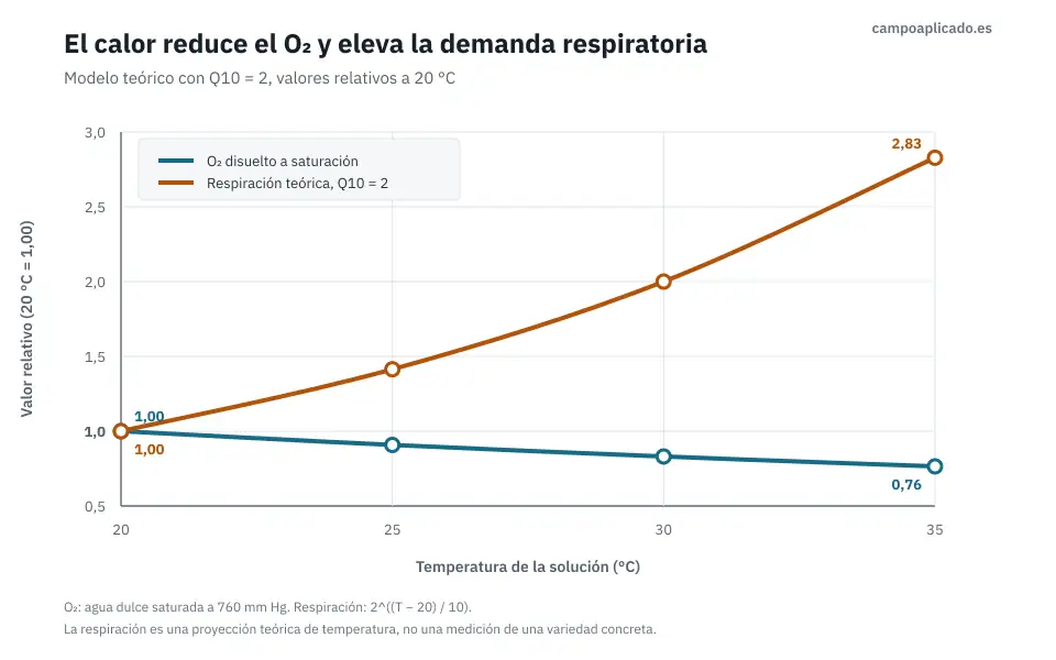 oxigeno-disuelto-respiracion-q10-teorico.webp