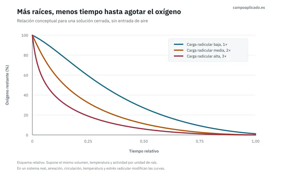 agotamiento-oxigeno-carga-radicular-tomate.webp