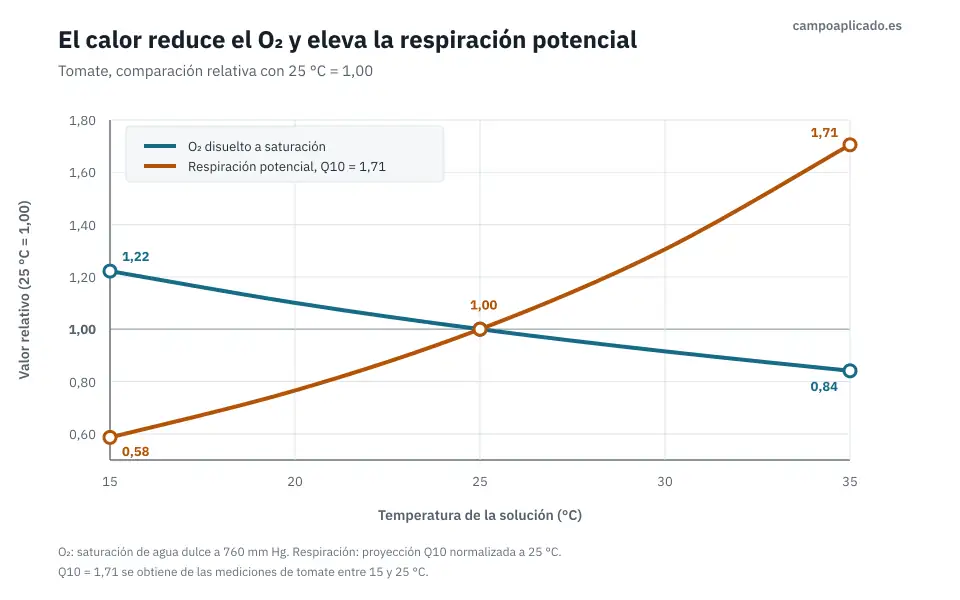 q10-aparente-respiracion-tomate.webp